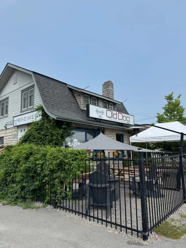 Old Dog Brewing Co