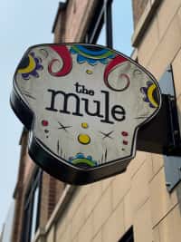 The Mule Cambridge